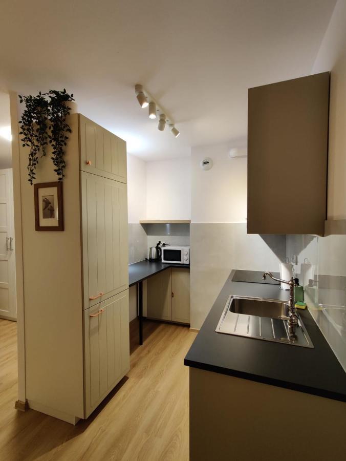 Panda Apartment Wroclaw Bagian luar foto